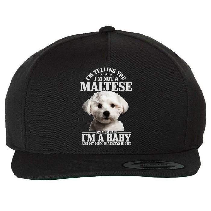 Maltese Mom Said IM A Baby Funny Maltese Dog Wool Snapback Cap