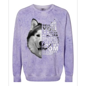 My Mom Said I am a Baby Alaskan Malamute Dog for mom Colorblast Crewneck Sweatshirt