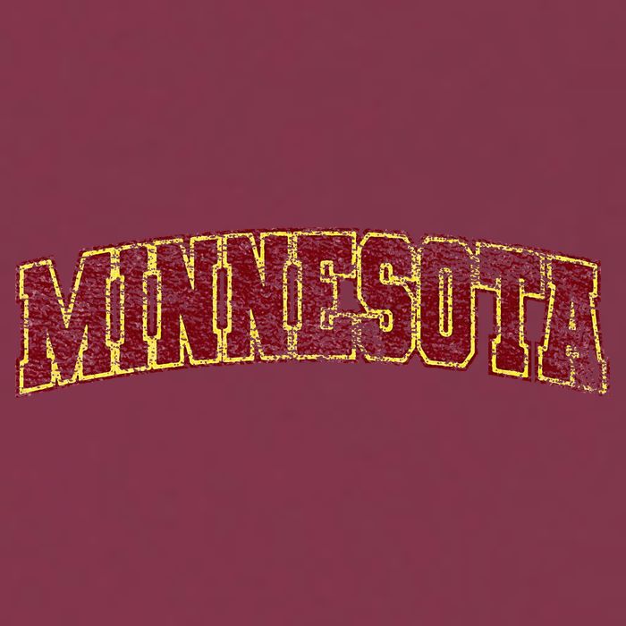 Minnesota Mn State Varsity Style Faded Design 16oz Travel Tumbler