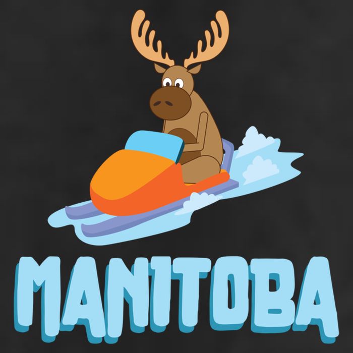 Manitoba Moose Snowmobile Sled Gift For Riders Great Gift Cool Comfort Performance Bucket Hat