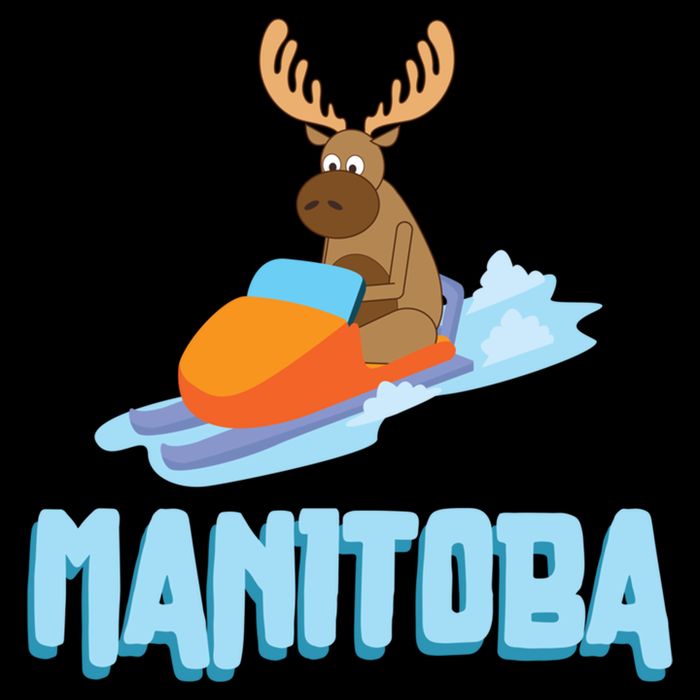 Manitoba Moose Snowmobile Sled Gift For Riders Great Gift Sustainable Bucket Hat