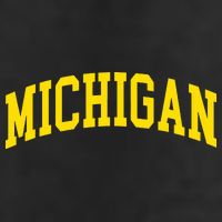 Michigan Mi Usa United States Font 7 Panel Mesh Trucker Snapback Hat