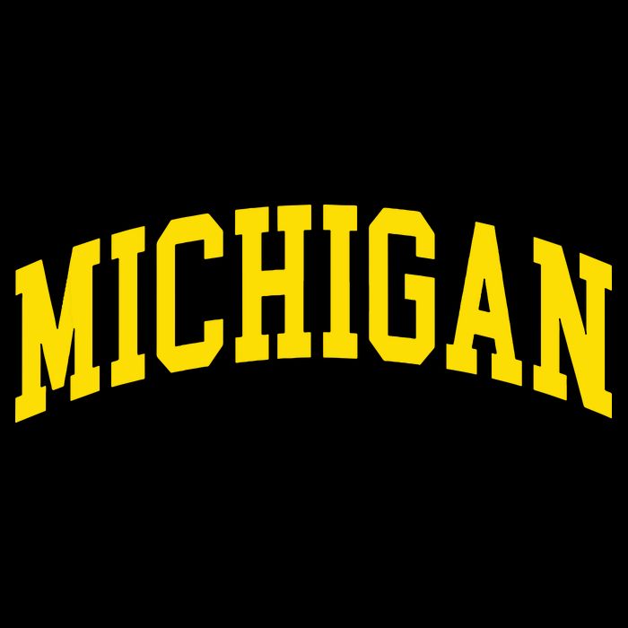 Michigan Mi Usa United States Font 16 in Basic Backpack
