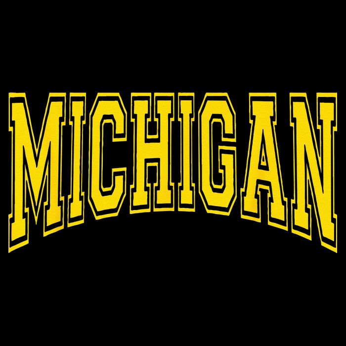 Michigan MI USA United States Font Cooling Performance Crew T-Shirt