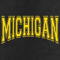 Michigan MI USA United States Font Adult Drive Performance Visor