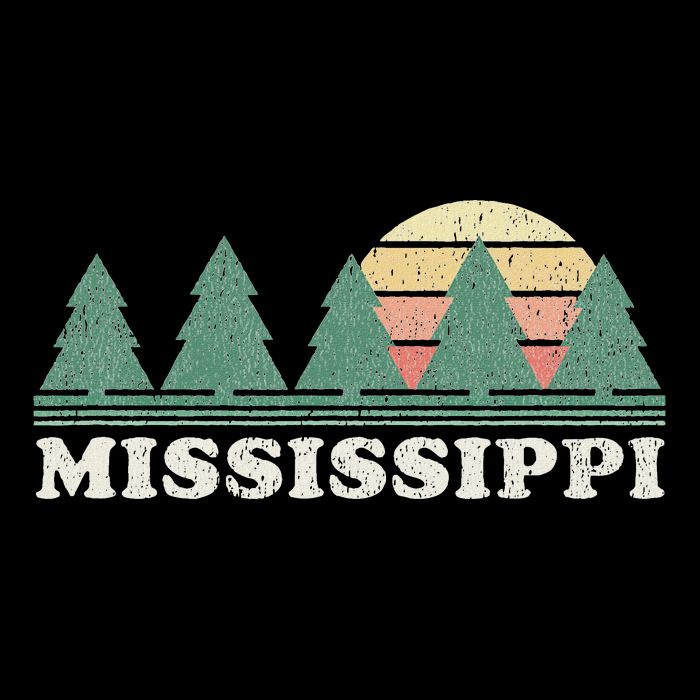 Mississippi Ms Vintage Graphic Retro 70s Design Sweatshirt