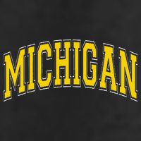 Michigan Mi Vintagestyle Maize Font Tumbler