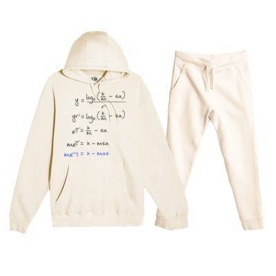 Math Merry Xmas Math Equation Funny Christmas Algebra Great Gift Premium Hooded Sweatsuit Set