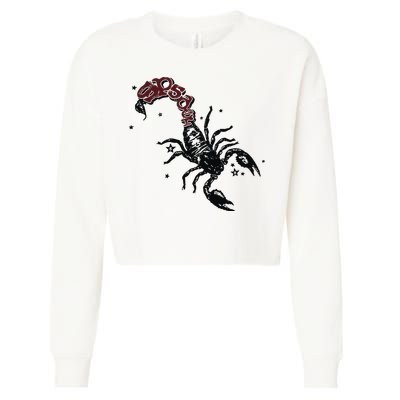 Mariahthescientist Mts X Sp5der Scorpion Cropped Pullover Crew