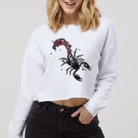 Mariahthescientist Mts X Sp5der Scorpion Cropped Pullover Crew