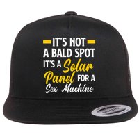 Mens Not A Bald Spot It's Solar Panel For Sex Machine Funny Bald Flat Bill Trucker Hat