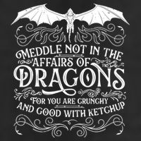 Meddle Not Affairs Dragons Tshirt, Mens Dragon TShirt Adult Drive Performance Visor