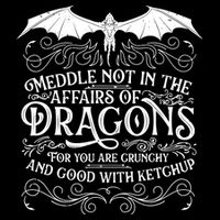 Meddle Not Affairs Dragons Tshirt, Mens Dragon TShirt Kids T-Shirt