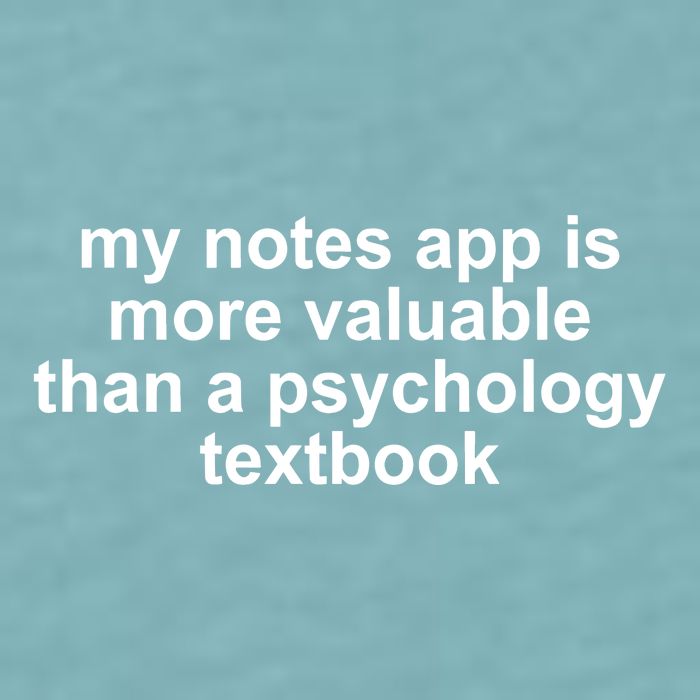 My Notes App Is More Valuable Than A Psychology Textbook Sueded Cloud Jersey T-Shirt