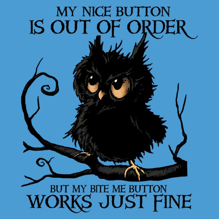 My Nice Button Is Out Of Order But My Bite Me Button Works Cool Gift Tie Dye Hoodie
