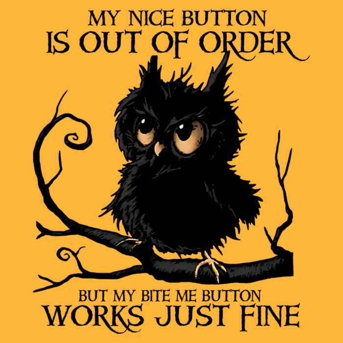 My Nice Button Is Out Of Order But My Bite Me Button Works Cool Gift Sustainable Knit Beanie