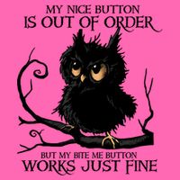 My Nice Button Is Out Of Order But My Bite Me Button Works Cool Gift Stripe Pom Pom Beanie
