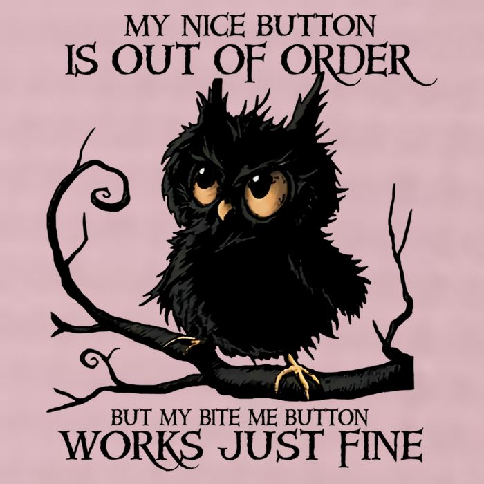 My Nice Button Is Out Of Order But My Bite Me Button Works Cool Gift 25L Jumbo Tote