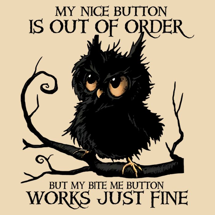My Nice Button Is Out Of Order But My Bite Me Button Works Cool Gift Drawstring Bag