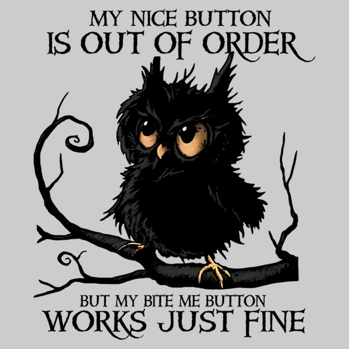 My Nice Button Is Out Of Order But My Bite Me Button Works Cool Gift Tie-Dye T-Shirt