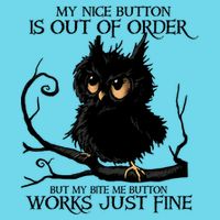 My Nice Button Is Out Of Order But My Bite Me Button Works Cool Gift T-Shirt