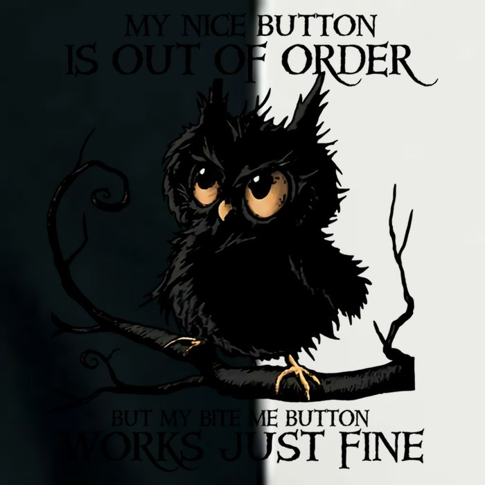 My Nice Button Is Out Of Order But My Bite Me Button Works Cool Gift Infant Baby Jersey Bodysuit