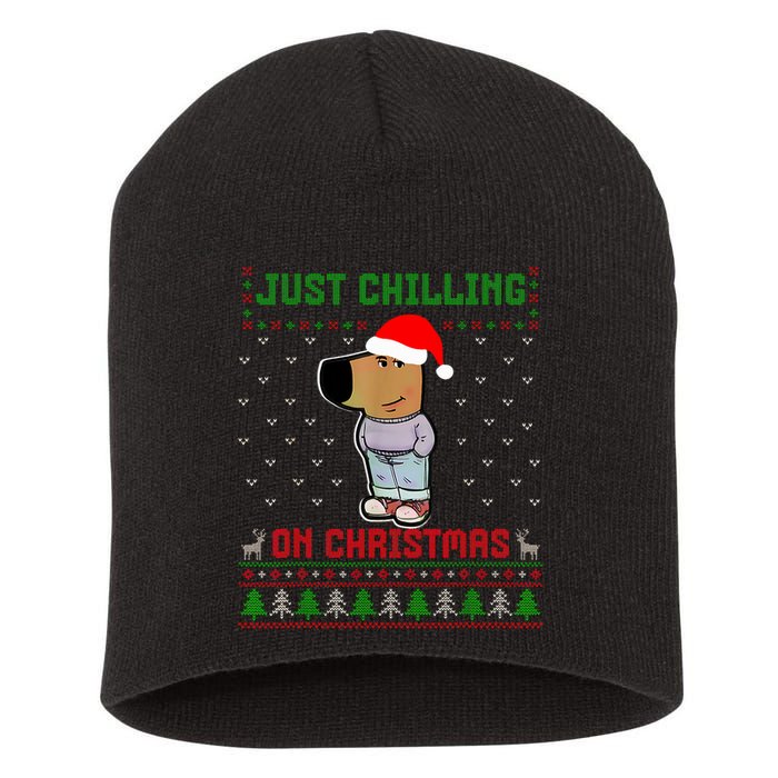 My New Character Is A Chill Guy Meme Funny Chill Guy Meme Short Acrylic Beanie