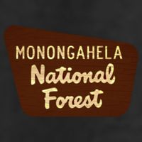 Monongahela National Forest West Virginia Wv Souvenir Gift Hat