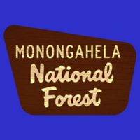 Monongahela National Forest West Virginia Wv Souvenir Gift Tall T-Shirt