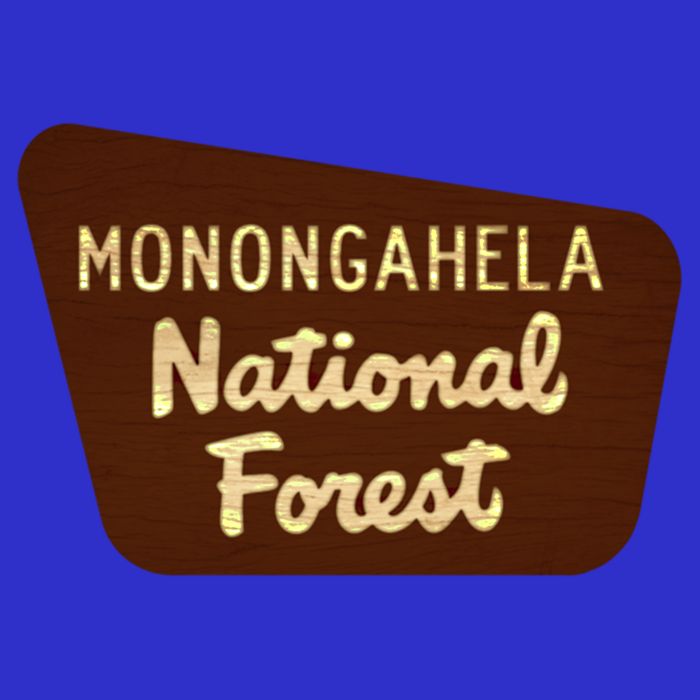 Monongahela National Forest West Virginia Wv Souvenir Gift Tall T-Shirt