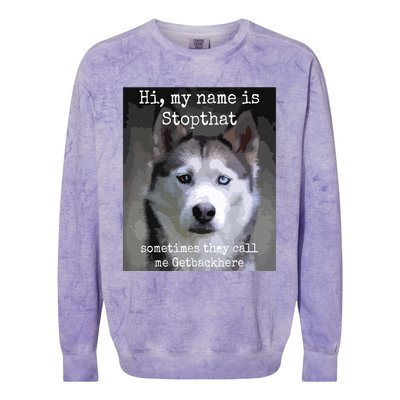 My Name Is Stopthat Funny Hyper Siberian Husky Dog Owner Colorblast Crewneck Sweatshirt