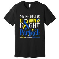 My Nephew Is Down Right Perfect Down Syndrome Awareness Day Gift Premium T-Shirt