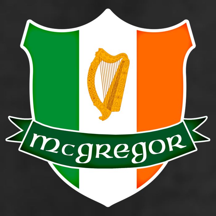 Mcgregor Name Irish Gift Irish Flag Harp Crest 15oz Campfire Ceramic Mug