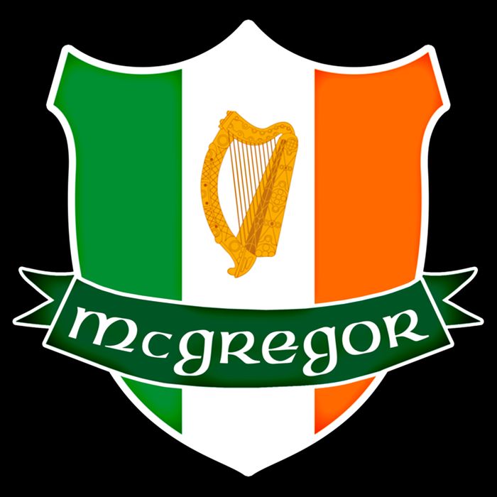 Mcgregor Name Irish Gift Irish Flag Harp Crest Wool Snapback Cap