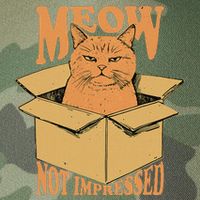 Meow Not Impressed Sarcastic Cat Meme Grumpy Feline In Box .Png Legacy Tie Dye Trucker Hat