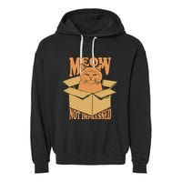 Meow Not Impressed Sarcastic Cat Meme Grumpy Feline In Box .Png Garment-Dyed Fleece Hoodie
