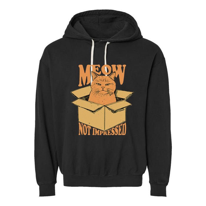 Meow Not Impressed Sarcastic Cat Meme Grumpy Feline In Box .Png Garment-Dyed Fleece Hoodie