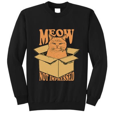 Meow Not Impressed Sarcastic Cat Meme Grumpy Feline In Box .Png Sweatshirt