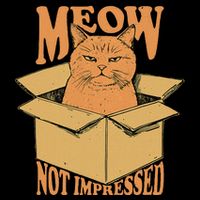 Meow Not Impressed Sarcastic Cat Meme Grumpy Feline In Box .Png Sweatshirt