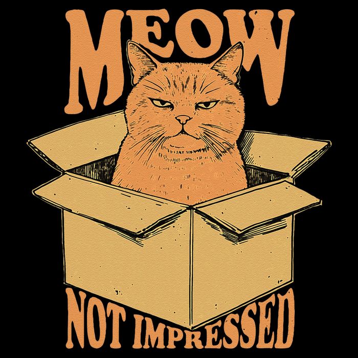 Meow Not Impressed Sarcastic Cat Meme Grumpy Feline In Box .Png Sweatshirt