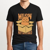 Meow Not Impressed Sarcastic Cat Meme Grumpy Feline In Box .Png V-Neck T-Shirt