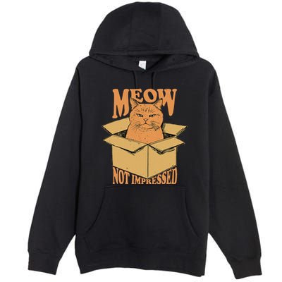 Meow Not Impressed Sarcastic Cat Meme Grumpy Feline In Box .Png Premium Pullover Hoodie