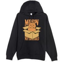 Meow Not Impressed Sarcastic Cat Meme Grumpy Feline In Box .Png Premium Pullover Hoodie