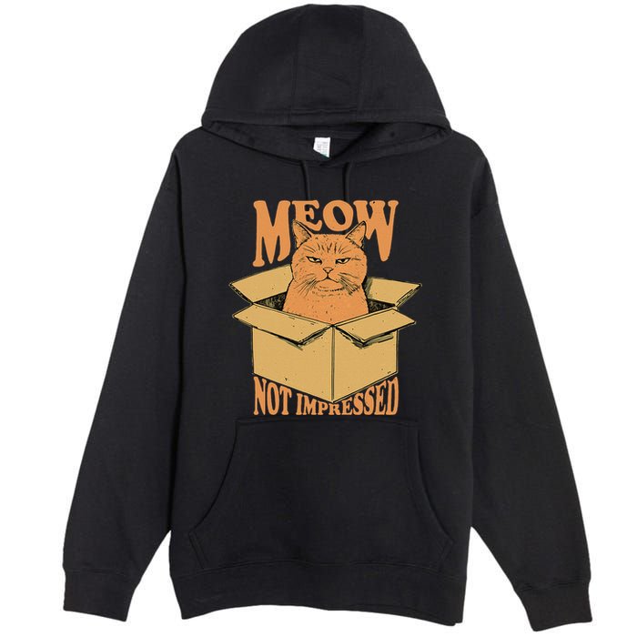Meow Not Impressed Sarcastic Cat Meme Grumpy Feline In Box .Png Premium Pullover Hoodie