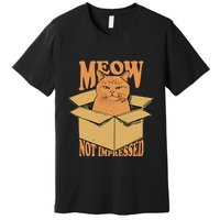 Meow Not Impressed Sarcastic Cat Meme Grumpy Feline In Box .Png Premium T-Shirt