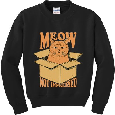 Meow Not Impressed Sarcastic Cat Meme Grumpy Feline In Box .Png Kids Sweatshirt