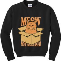 Meow Not Impressed Sarcastic Cat Meme Grumpy Feline In Box .Png Kids Sweatshirt