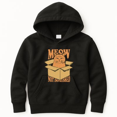 Meow Not Impressed Sarcastic Cat Meme Grumpy Feline In Box .Png Kids Hoodie