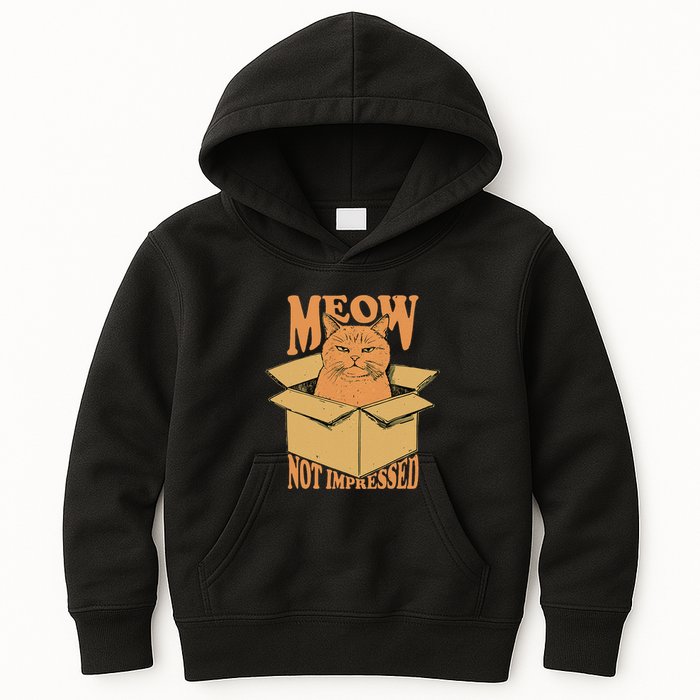 Meow Not Impressed Sarcastic Cat Meme Grumpy Feline In Box .Png Kids Hoodie