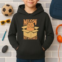 Meow Not Impressed Sarcastic Cat Meme Grumpy Feline In Box .Png Kids Hoodie